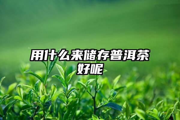 用什么来储存普洱茶好呢