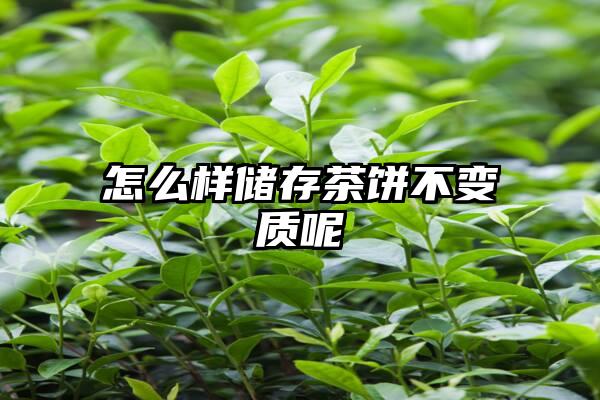 怎么样储存茶饼不变质呢