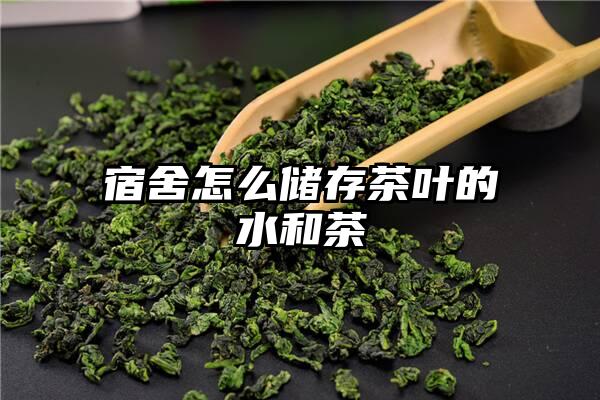 宿舍怎么储存茶叶的水和茶