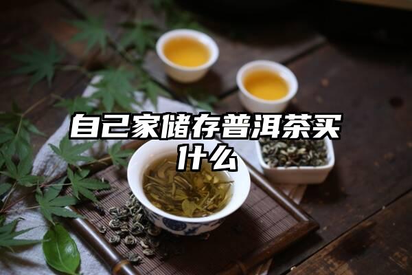 自己家储存普洱茶买什么