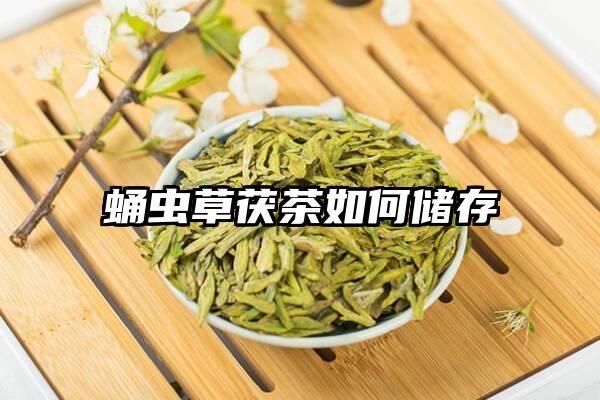 蛹虫草茯茶如何储存