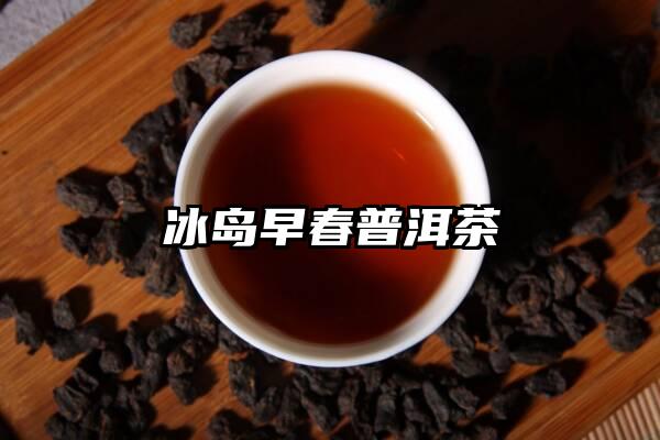 冰岛早春普洱茶