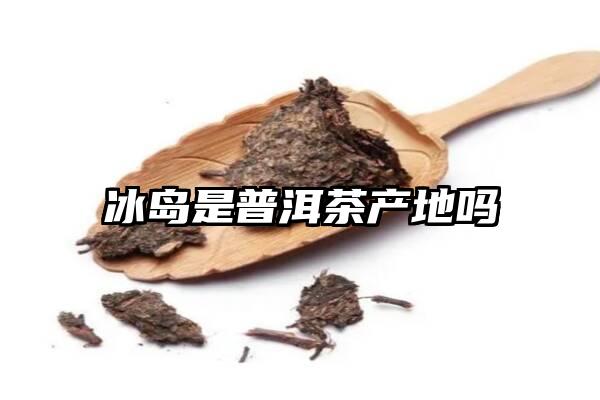 冰岛是普洱茶产地吗