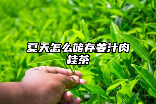 夏天怎么储存姜汁肉桂茶