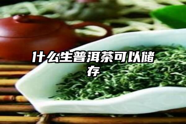 什么生普洱茶可以储存