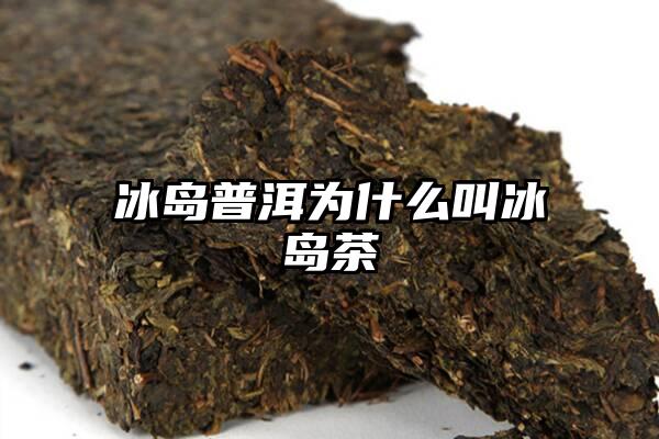 冰岛普洱为什么叫冰岛茶