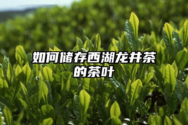 如何储存西湖龙井茶的茶叶