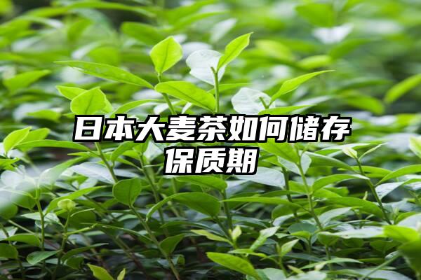 日本大麦茶如何储存保质期