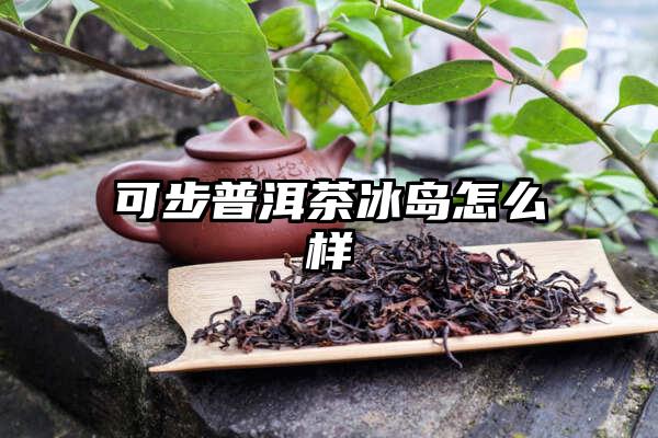 可步普洱茶冰岛怎么样