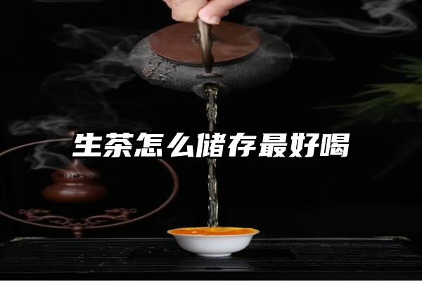 生茶怎么储存最好喝