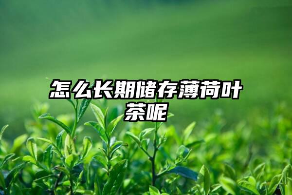 怎么长期储存薄荷叶茶呢