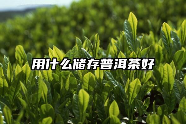 用什么储存普洱茶好