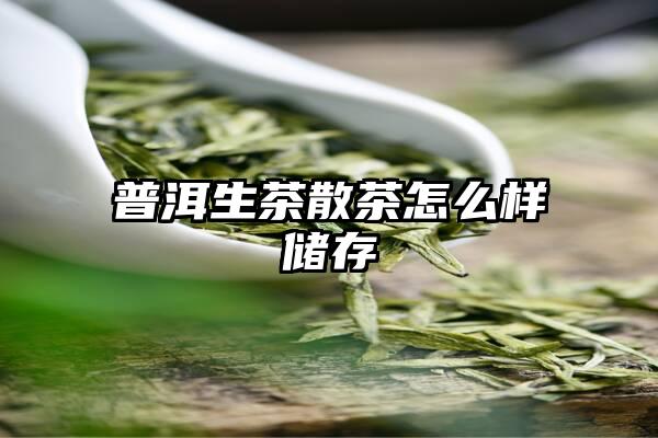 普洱生茶散茶怎么样储存