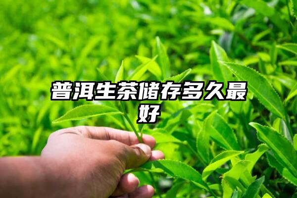 普洱生茶储存多久最好