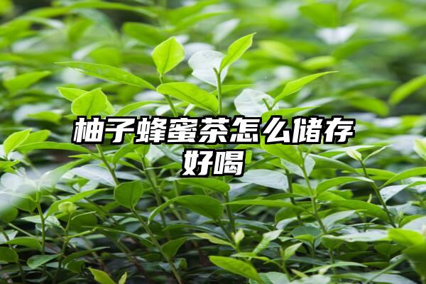 柚子蜂蜜茶怎么储存好喝