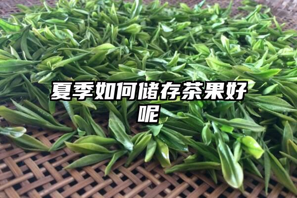 夏季如何储存茶果好呢