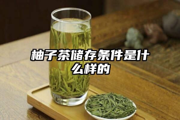 柚子茶储存条件是什么样的