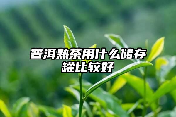 普洱熟茶用什么储存罐比较好