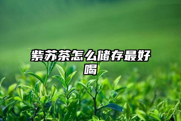 紫苏茶怎么储存最好喝