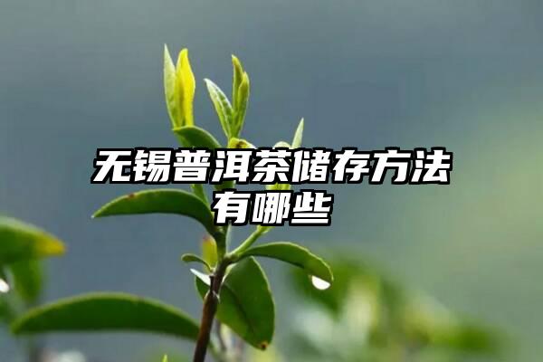 无锡普洱茶储存方法有哪些