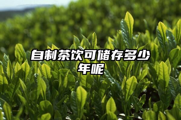 自制茶饮可储存多少年呢