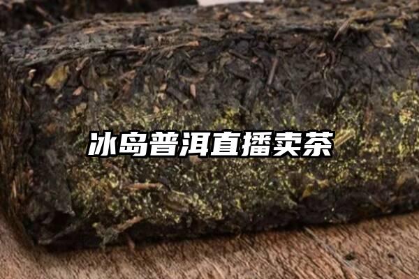 冰岛普洱直播卖茶