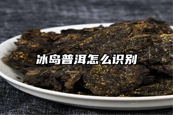 冰岛普洱怎么识别