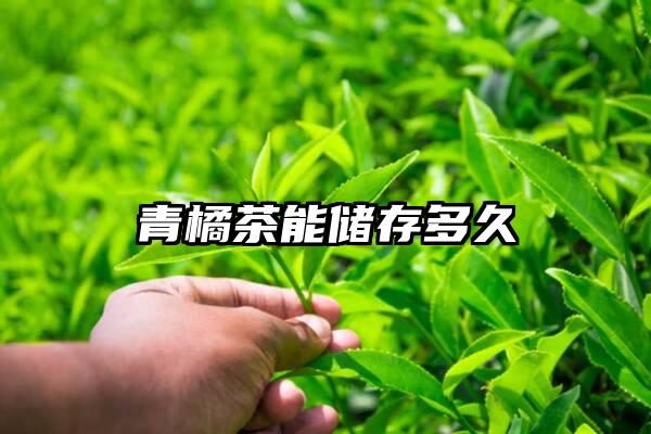 青橘茶能储存多久