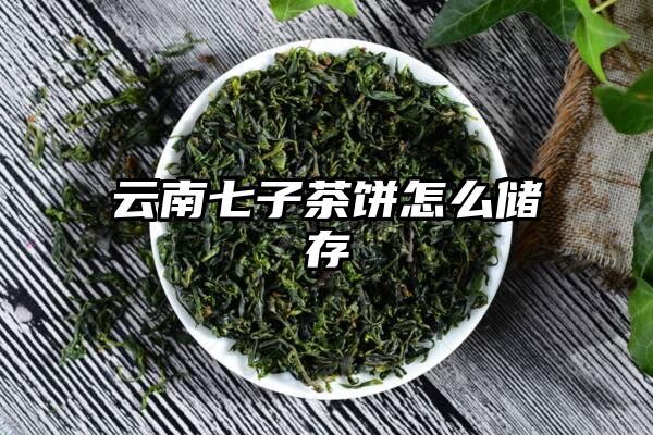 云南七子茶饼怎么储存