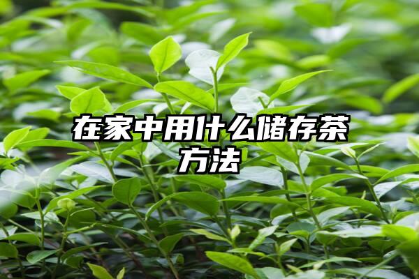 在家中用什么储存茶方法