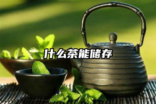 什么茶能储存