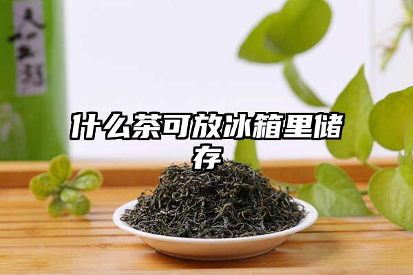 什么茶可放冰箱里储存