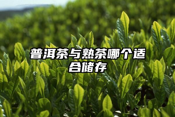 普洱茶与熟茶哪个适合储存