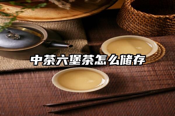 中茶六堡茶怎么储存