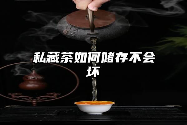 私藏茶如何储存不会坏