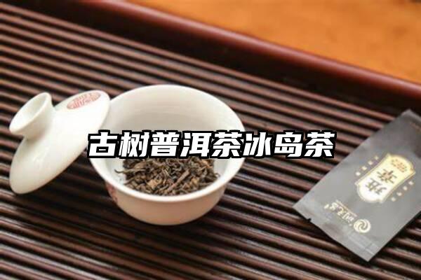 古树普洱茶冰岛茶