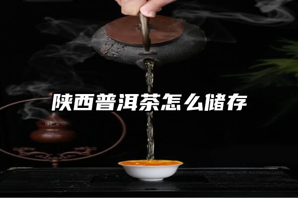 陕西普洱茶怎么储存