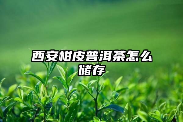 西安柑皮普洱茶怎么储存