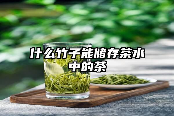 什么竹子能储存茶水中的茶