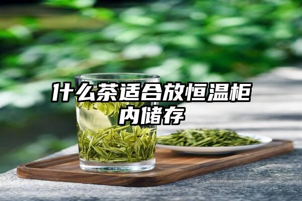 什么茶适合放恒温柜内储存