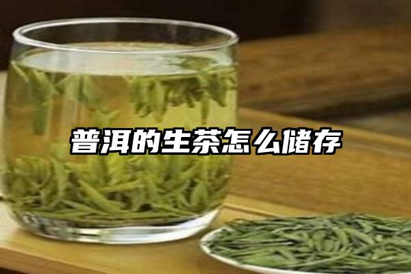 普洱的生茶怎么储存