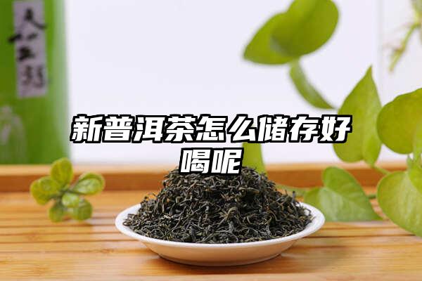 新普洱茶怎么储存好喝呢