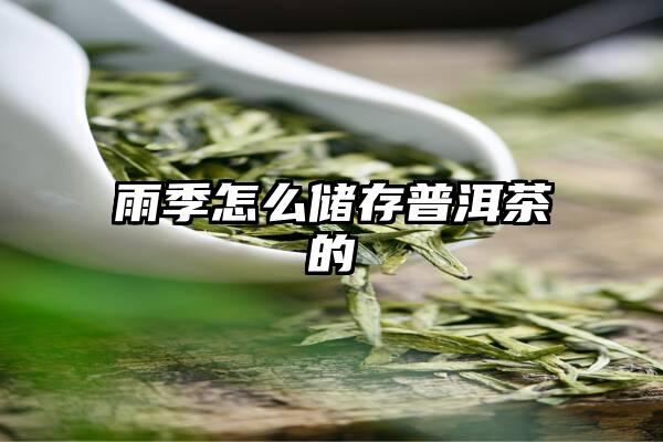 雨季怎么储存普洱茶的