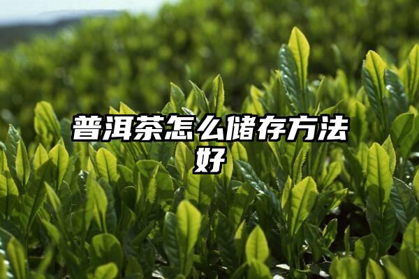 普洱茶怎么储存方法好