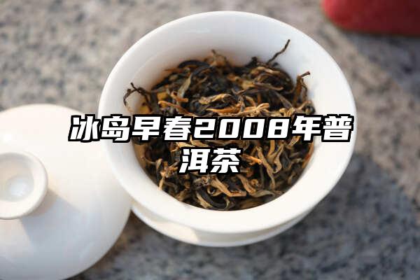 冰岛早春2008年普洱茶