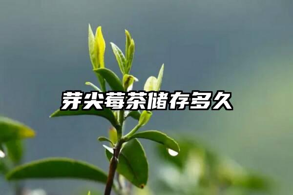 芽尖莓茶储存多久