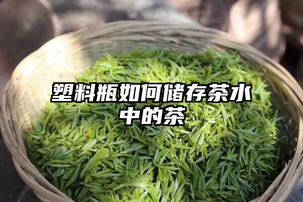 塑料瓶如何储存茶水中的茶