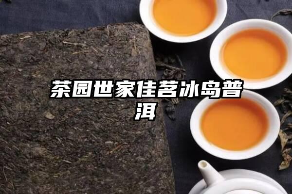 茶园世家佳茗冰岛普洱