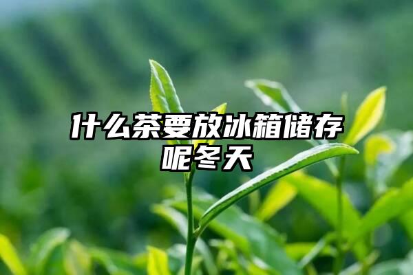 什么茶要放冰箱储存呢冬天