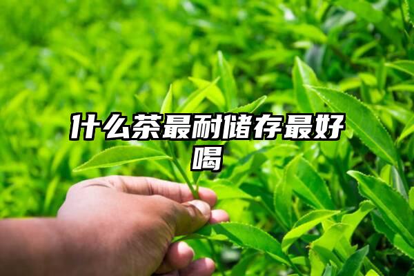 什么茶最耐储存最好喝